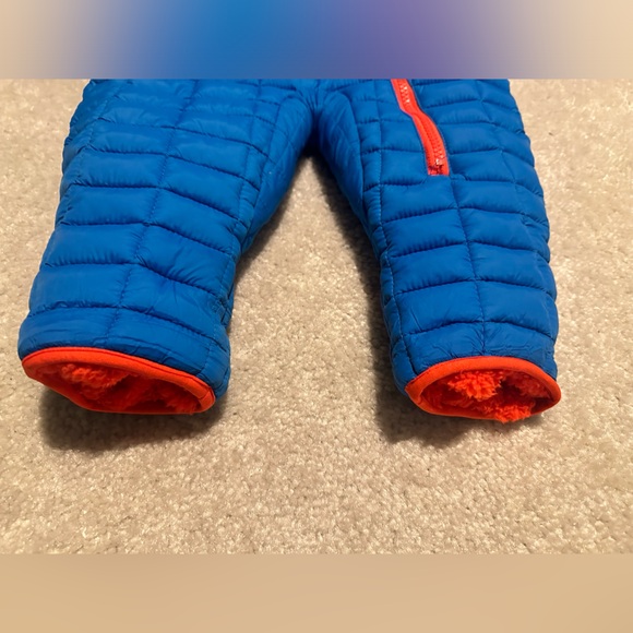 18M Snow Bunting - Picture 5 of 7